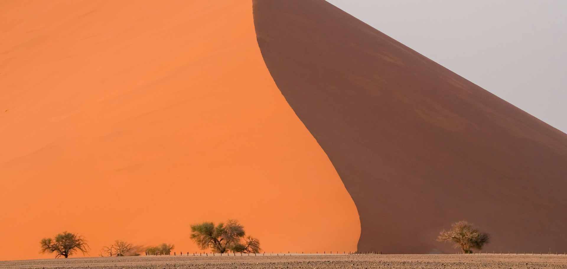 Dramatic shadows split the smooth curves of the iron-rich red sand dune