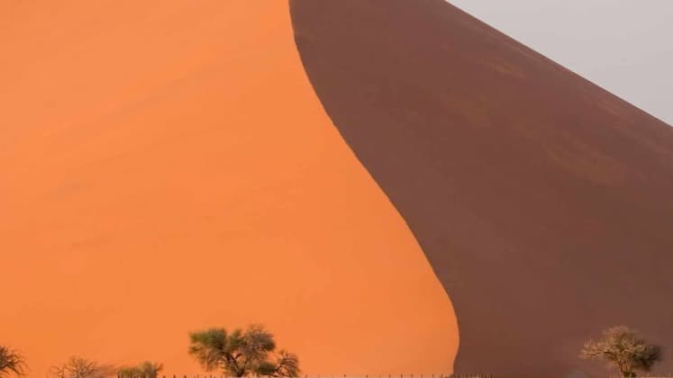 Dramatic shadows split the smooth curves of the iron-rich red sand dune