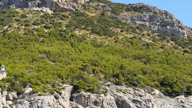 A steep, rugged limestone hillside densely covered with bright green pine trees and Mediterranean scrub under a clear blue sky