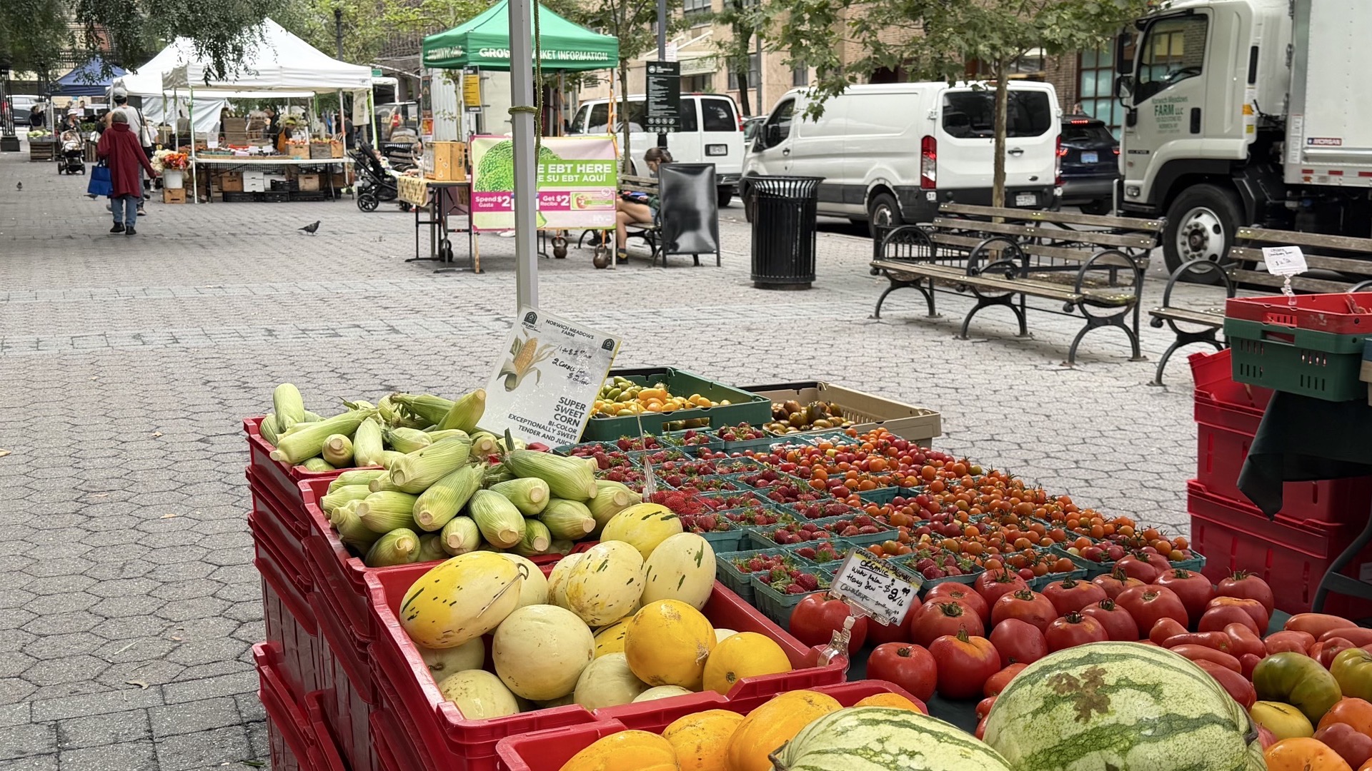 Fresh corn, tomatoes, and melons displayed on crates at the Dag Hammarskjöld Plaza Greenmarket