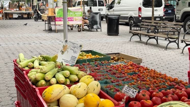 Fresh corn, tomatoes, and melons displayed on crates at the Dag Hammarskjöld Plaza Greenmarket