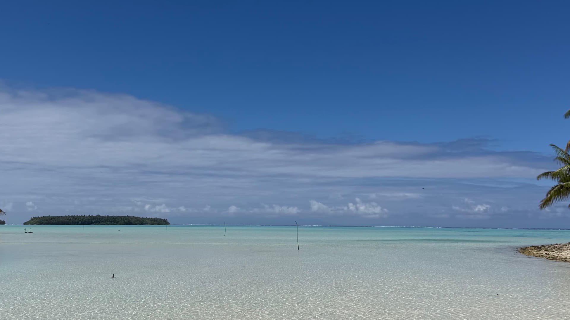 a white sand beach with crystal clear water and palms overlooking the ocean in Tetra atop in French Polynesia
