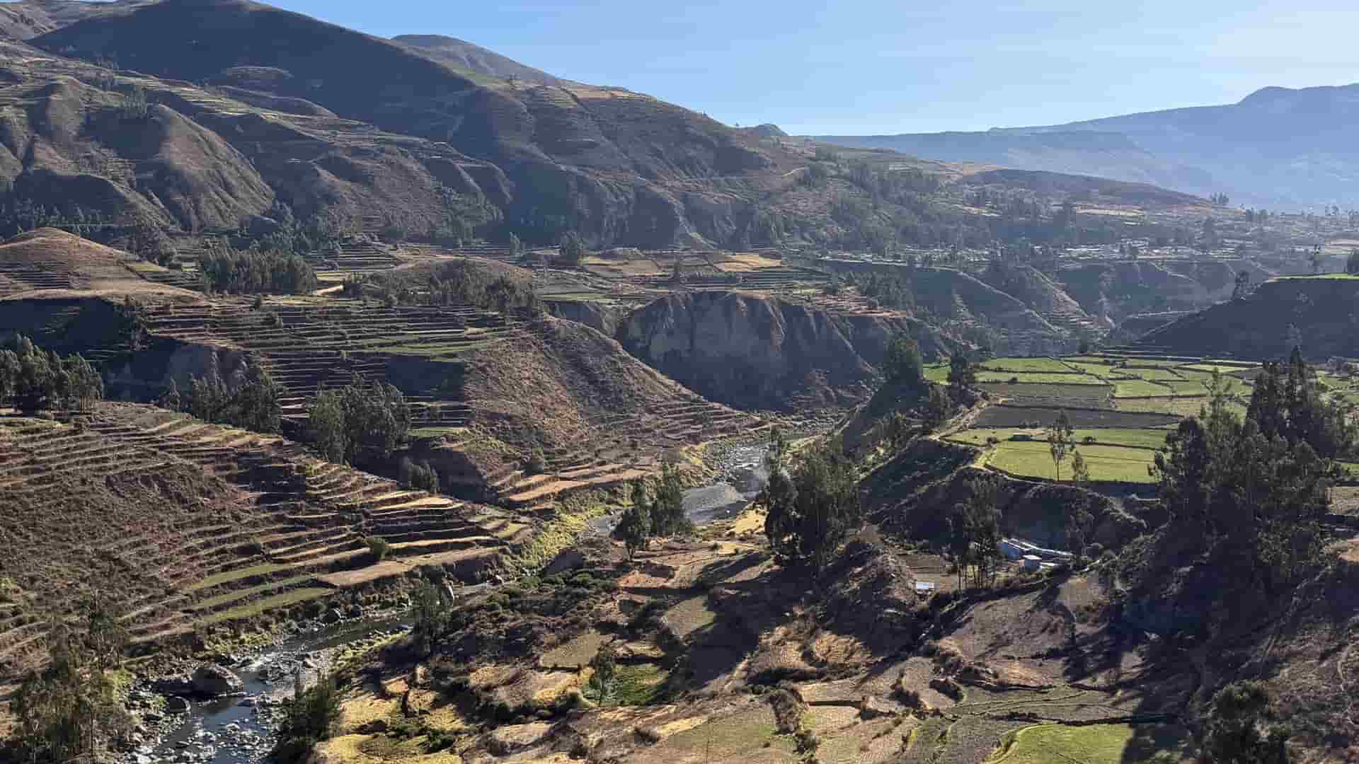 Lush green pre-Inca agricultural terraces lining the winding Colca River in Peru.