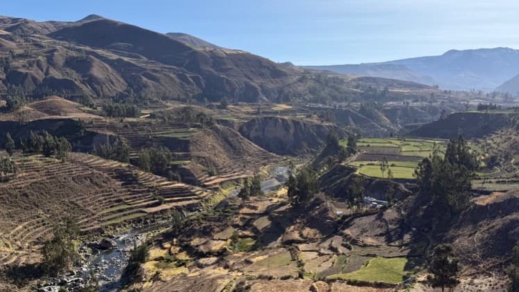 Lush green pre-Inca agricultural terraces lining the winding Colca River in Peru.