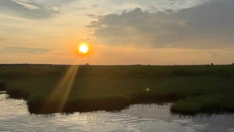 Golden sunset casting warm light across the calm waters and grassy floodplains of the Chobe River.