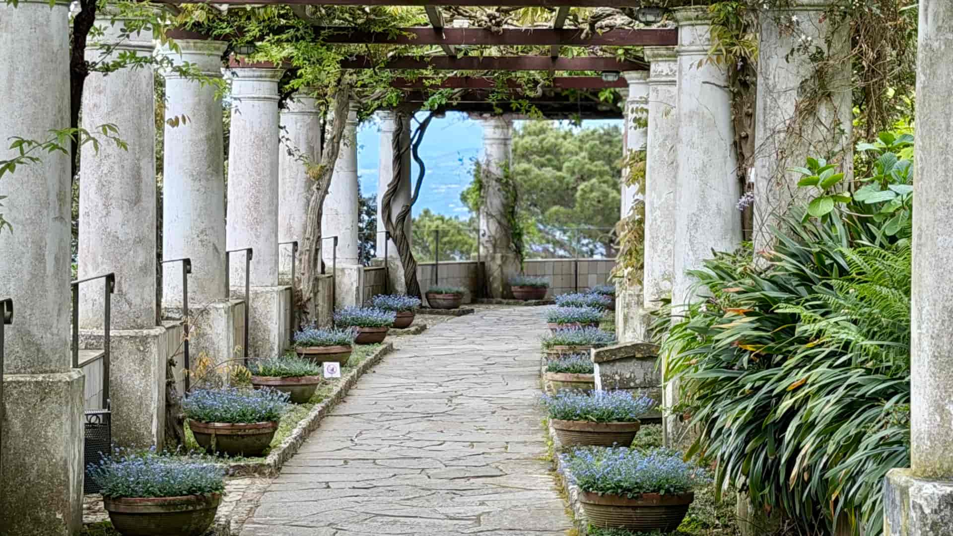 Stone pathway winding through white classical pillars and flowering potted plants in an Italian garden.
