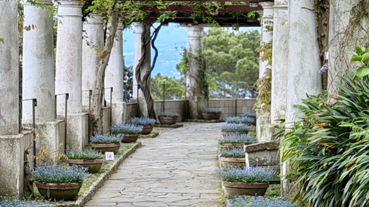 Stone pathway winding through white classical pillars and flowering potted plants in an Italian garden.
