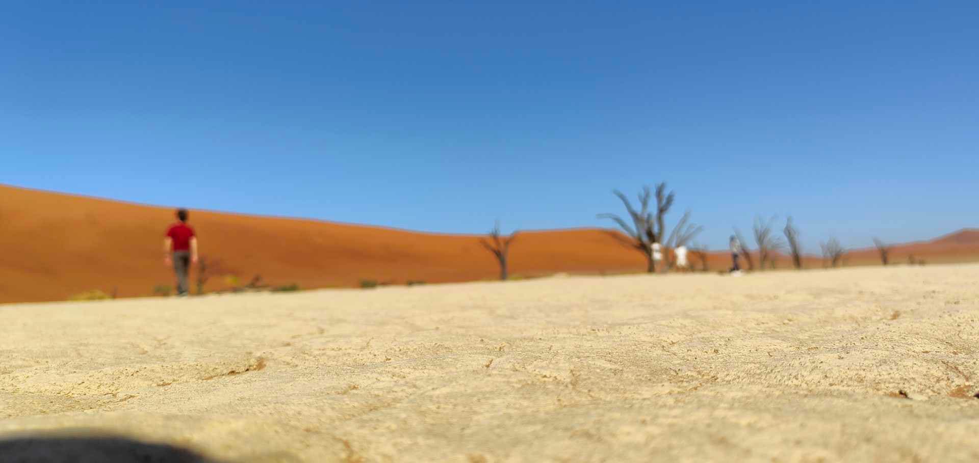 A lone traveler walks across the white clay pan toward ancient dead trees