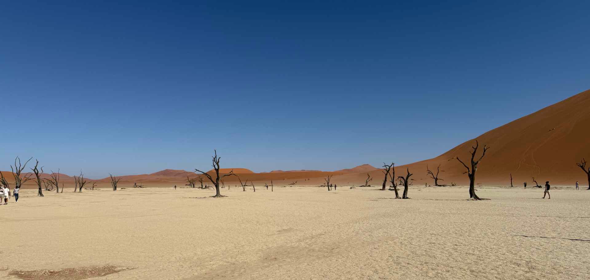 Visitors explore the vast salt and clay pan beneath a brilliant blue desert sk