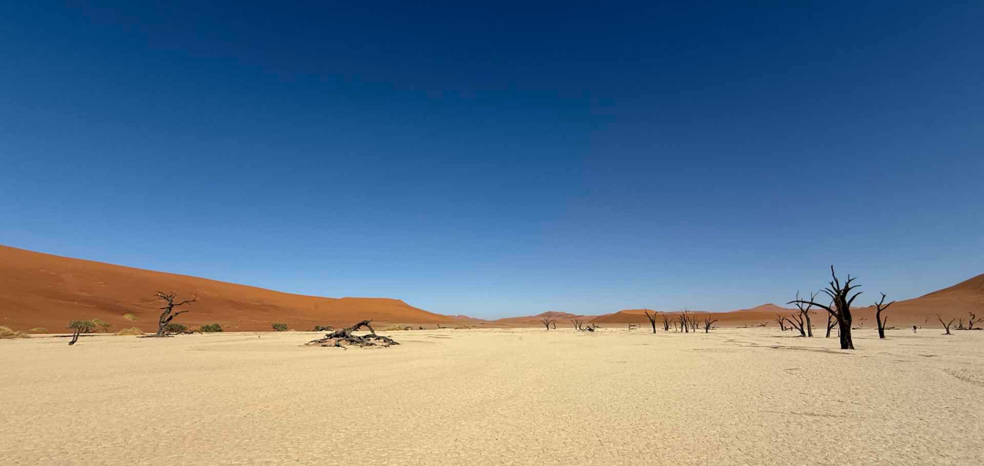 Wide expanse of the cracked white calcrete floor stretching toward distant dunes