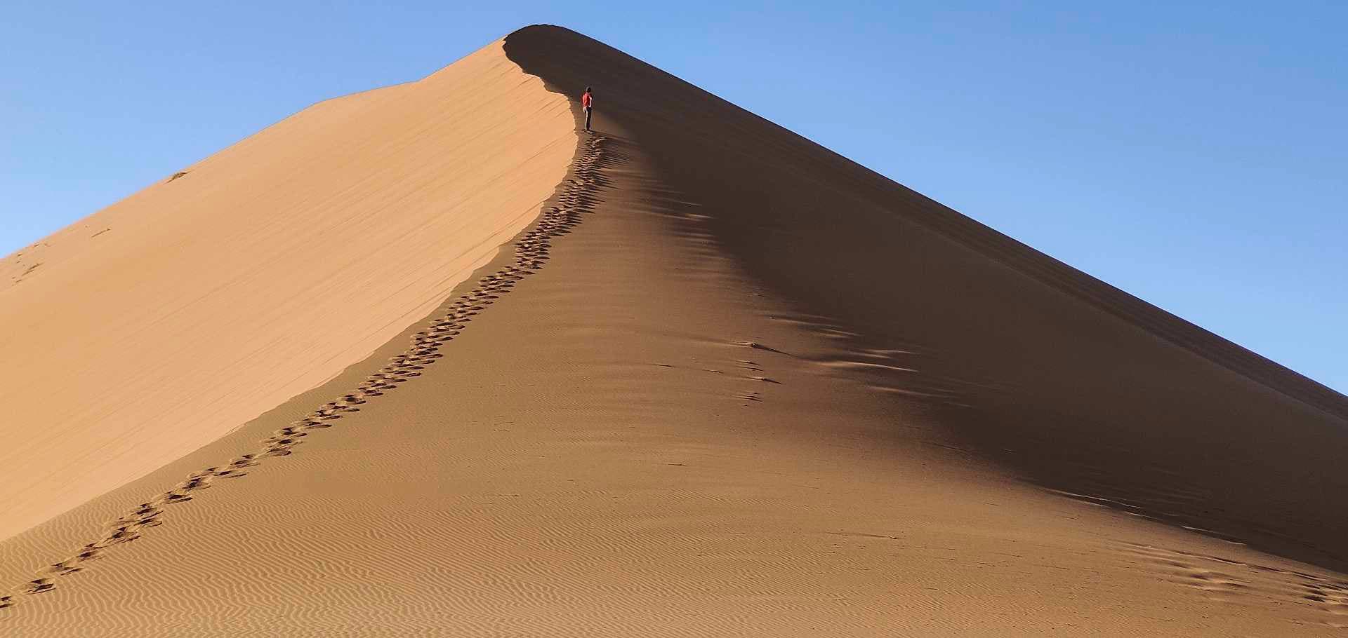 Footprints trace the razor-sharp crest of Dune 45 against a clear blue sky