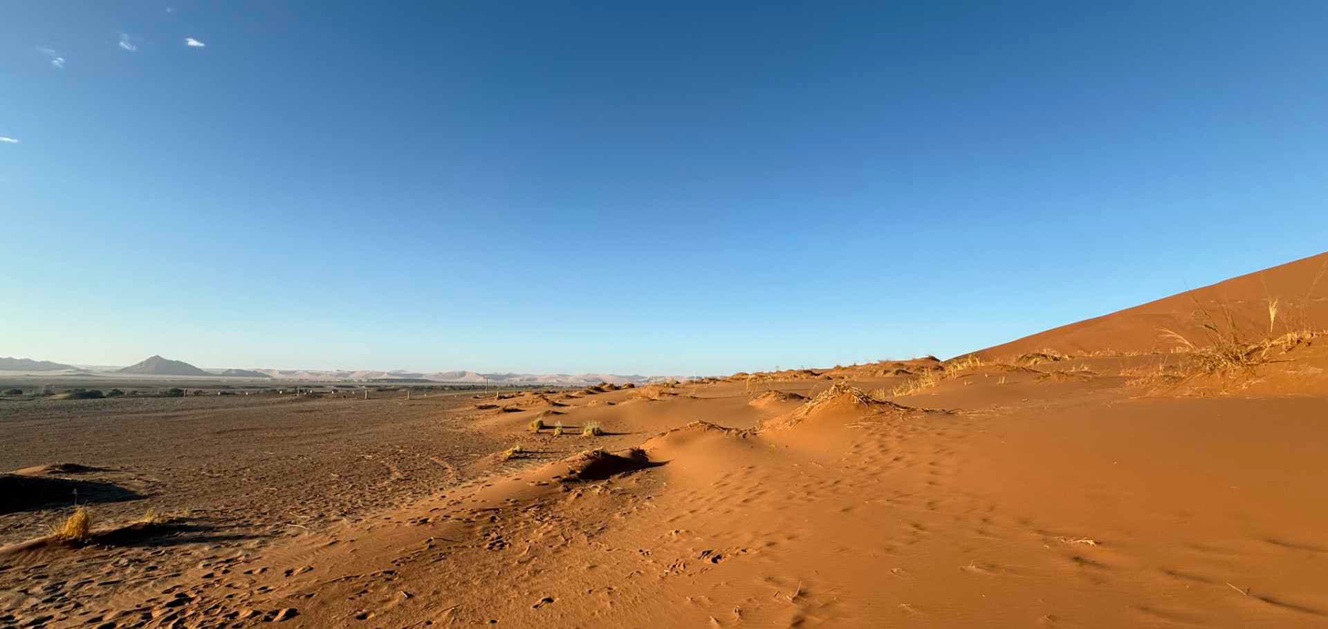Expansive view of the surrounding desert gravel plains from the base of Dune 45