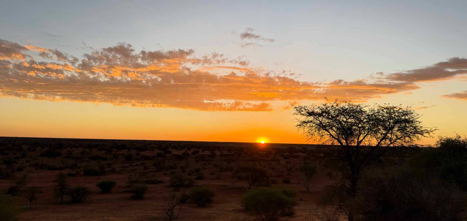A glowing orange sunset over the dry savanna landscape dotted with acacia trees