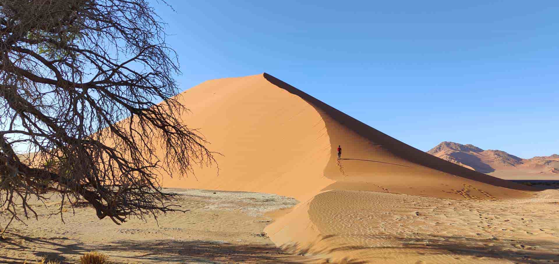 A lone traveler ascends the steep ridge of Dune 45 in the Namib Desert