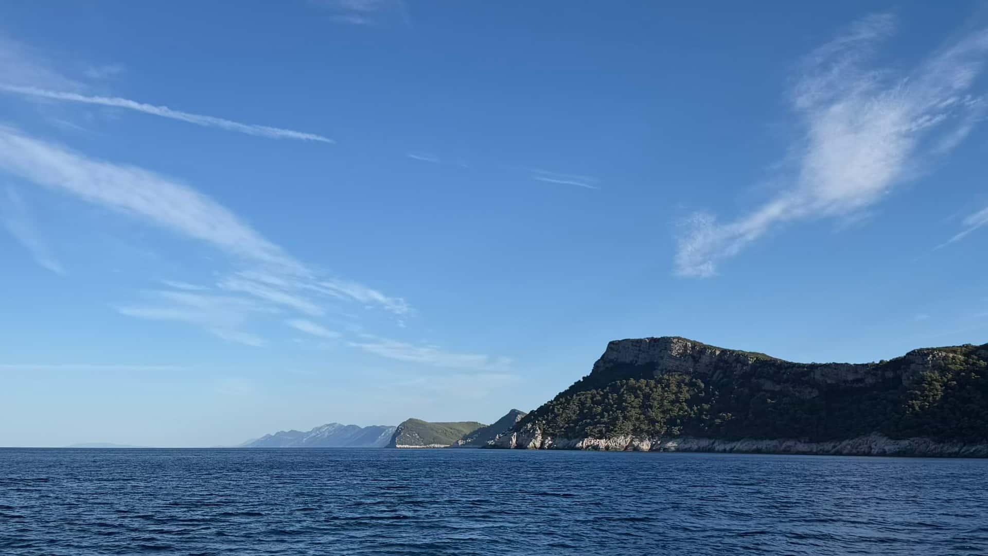 Steep limestone cliffs and pine forests rising above blue Adriatic waters.