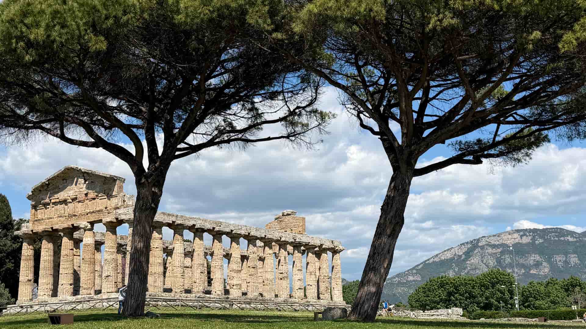 Doric columns of the ancient Greek temple at Paestum framed by towering pine trees under a cloudy sky.