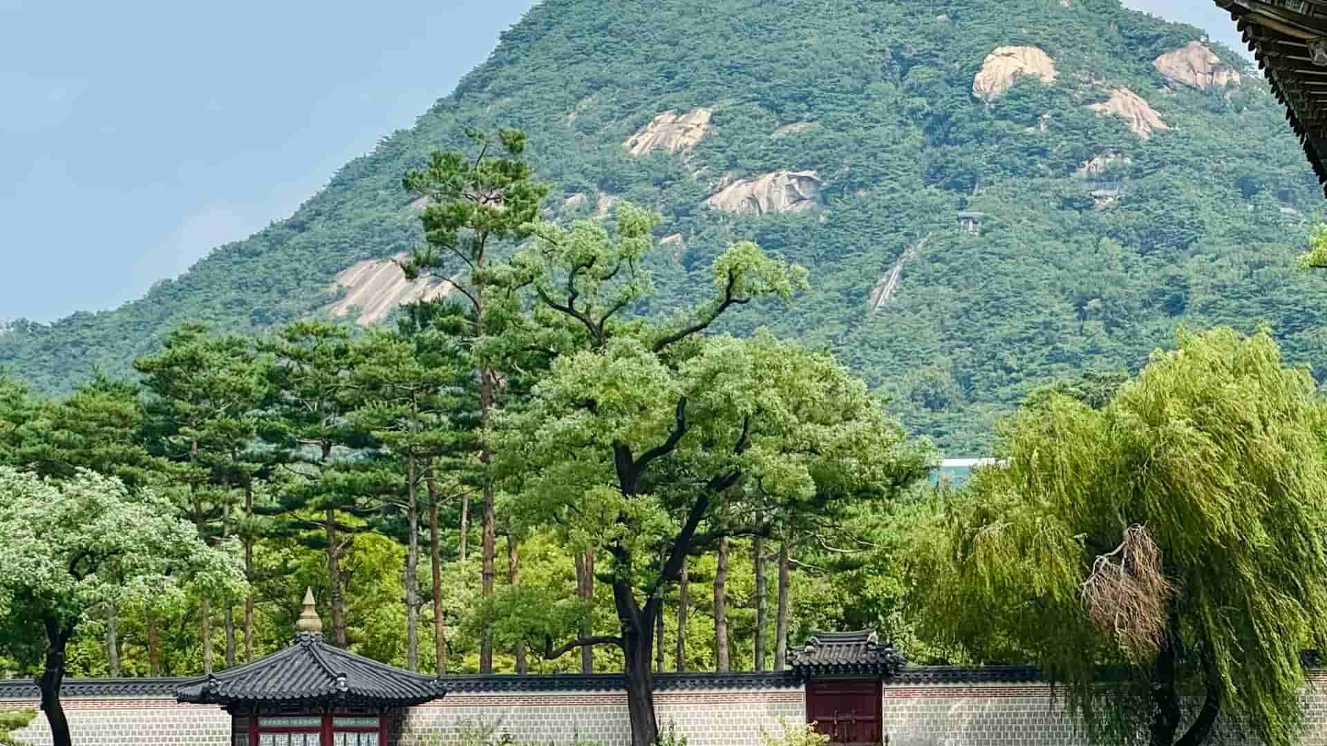 View of Gyeongbokgung palace