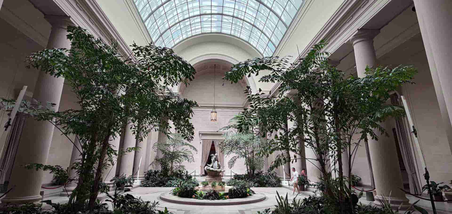 Lush green trees and neoclassical columns fill the sunlit central atrium of the gallery.