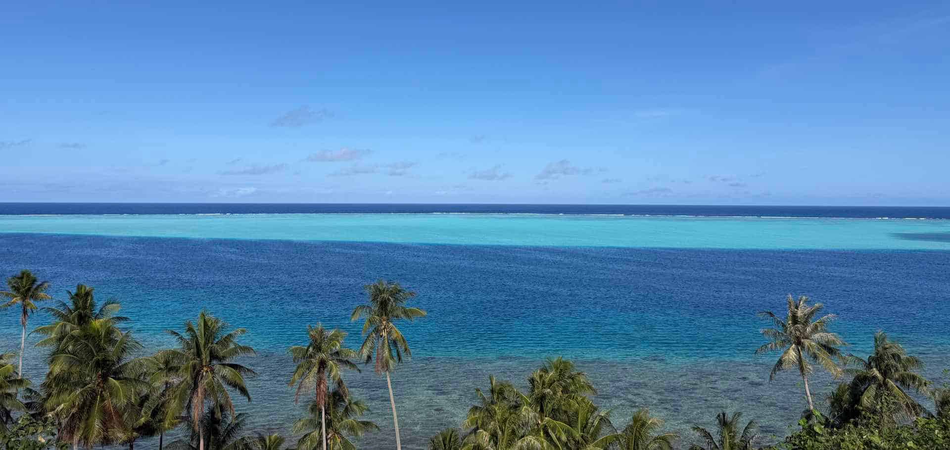 Tall coconut palm trees frame a stunning view of the vibrant turquoise and deep blue ocean.