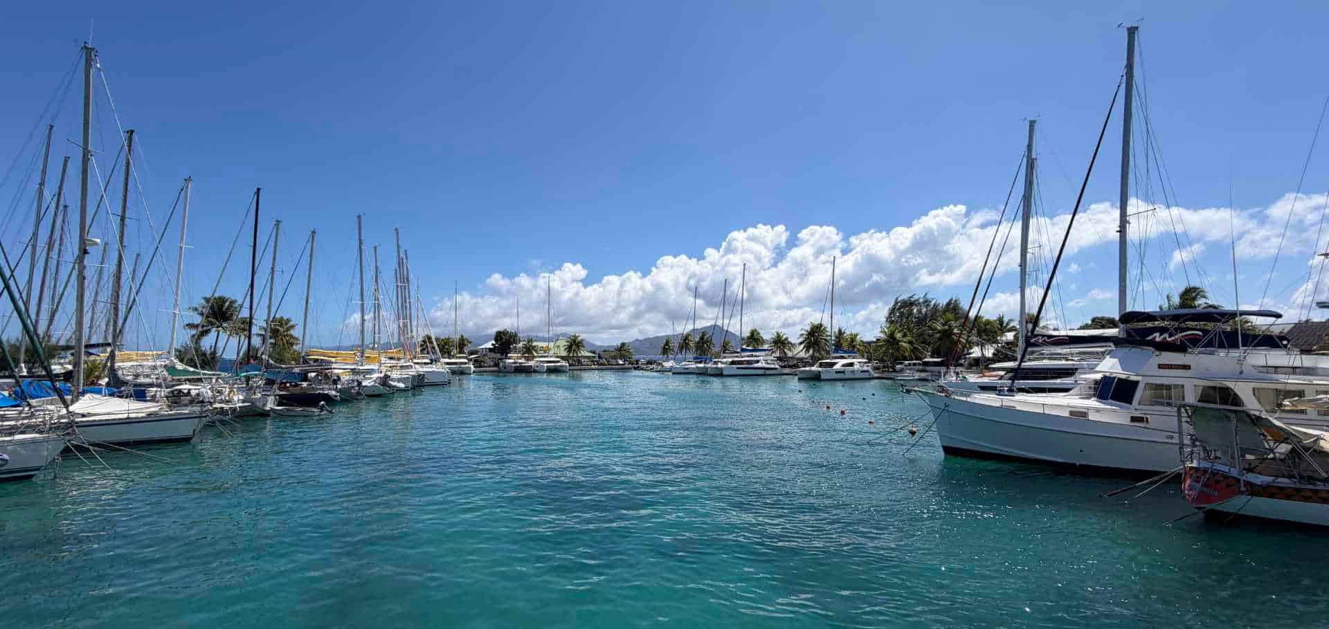 Sailing yachts and catamarans moored in a calm marina under a bright blue sky.