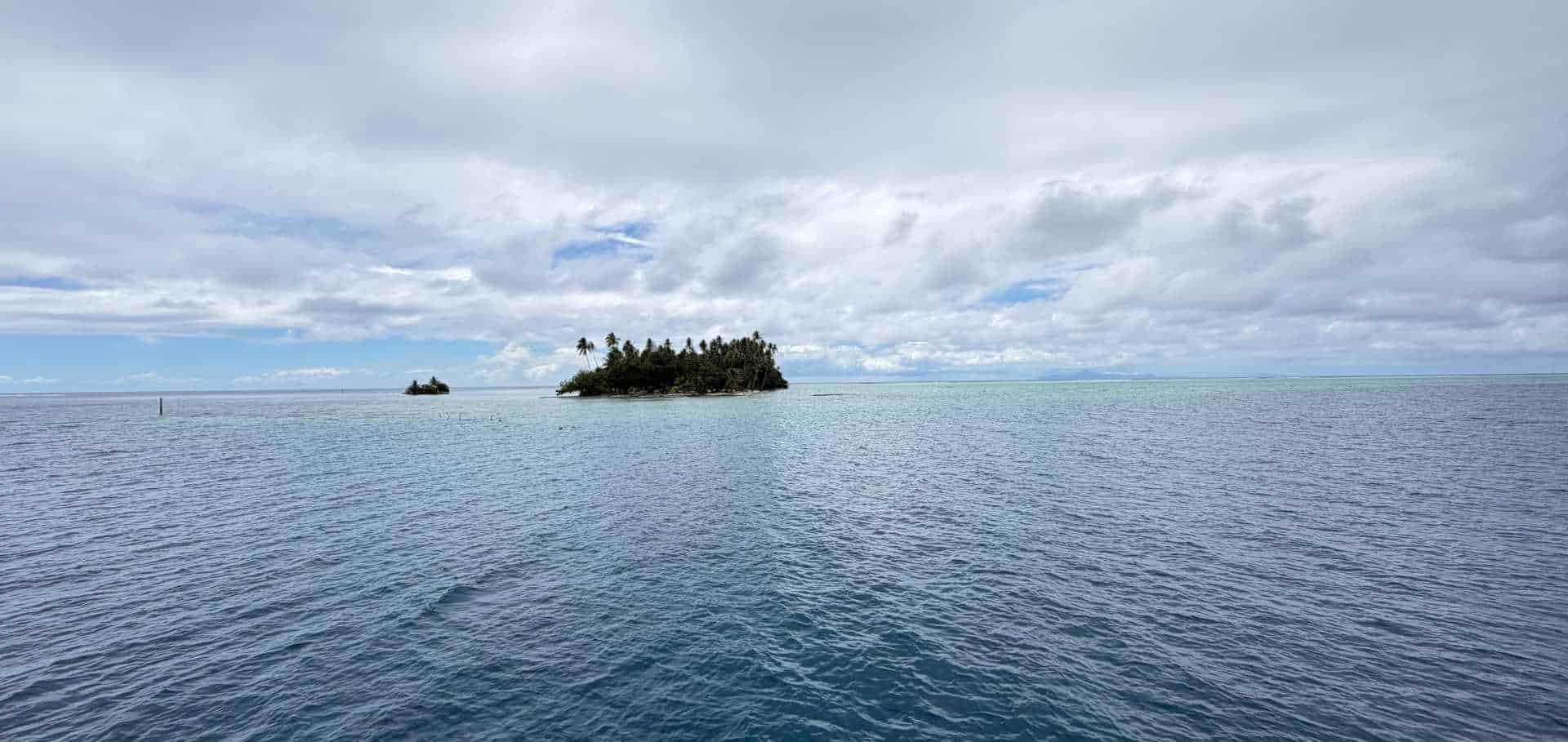 A small tropical island covered in palm trees surrounded by vast open ocean waters.