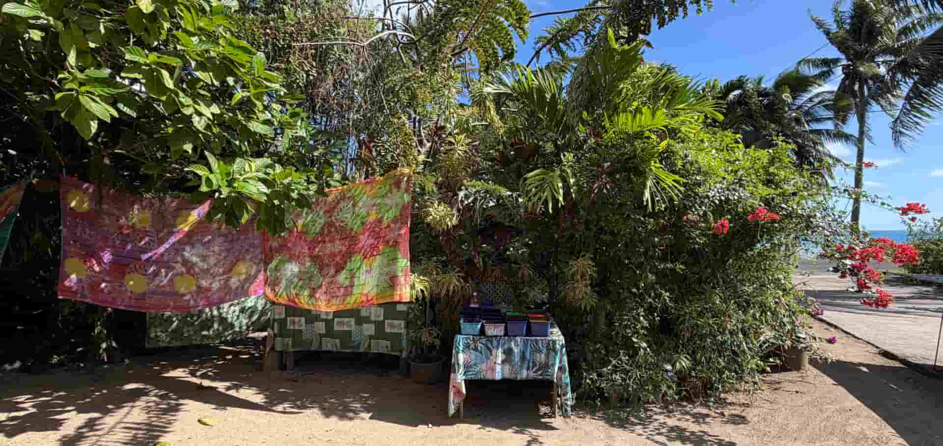 Colorful tropical pareos hung out to dry under lush green trees.