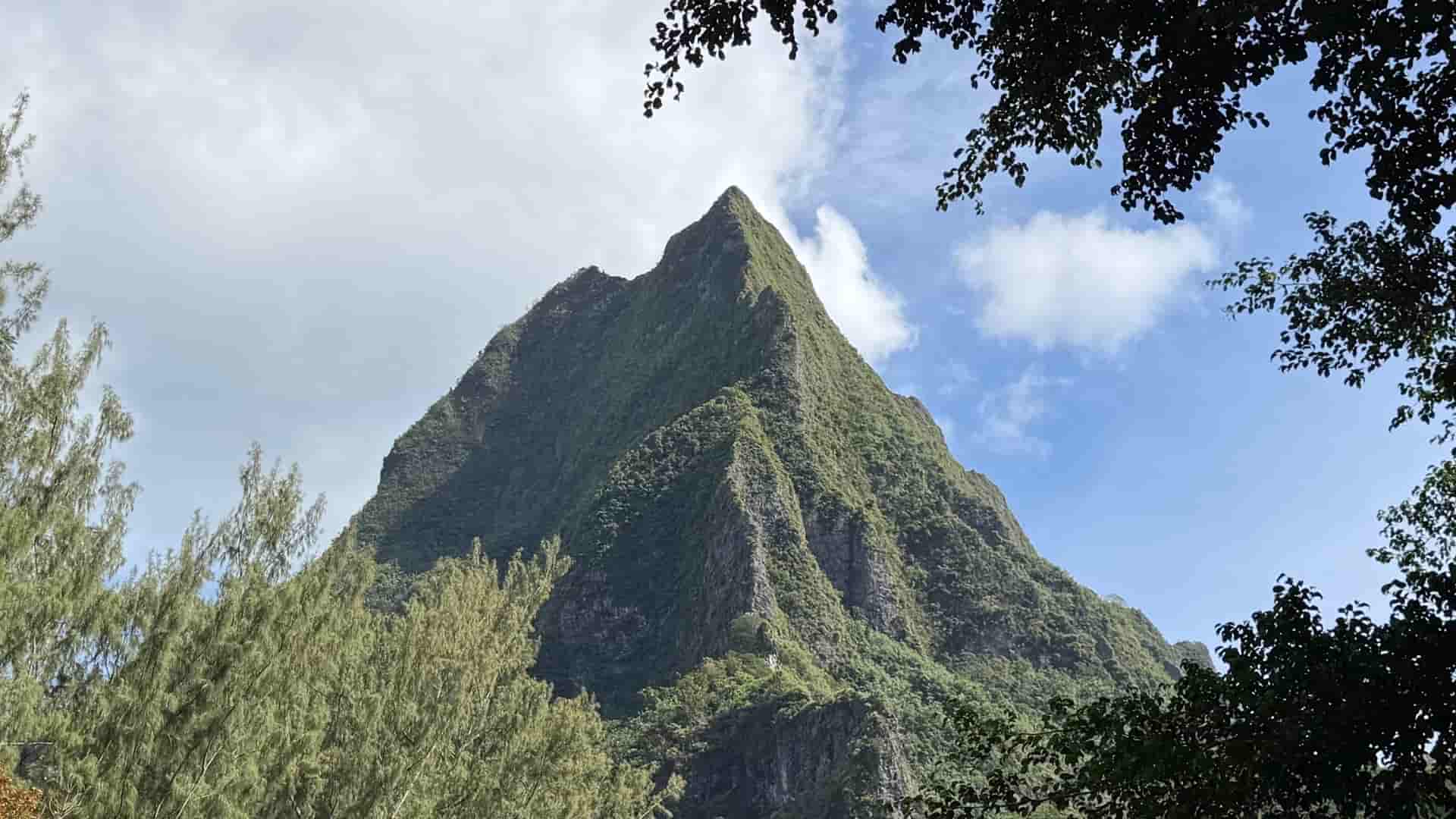 Steep volcanic peak covered in dense green jungle foliage viewed through framing tree branches.