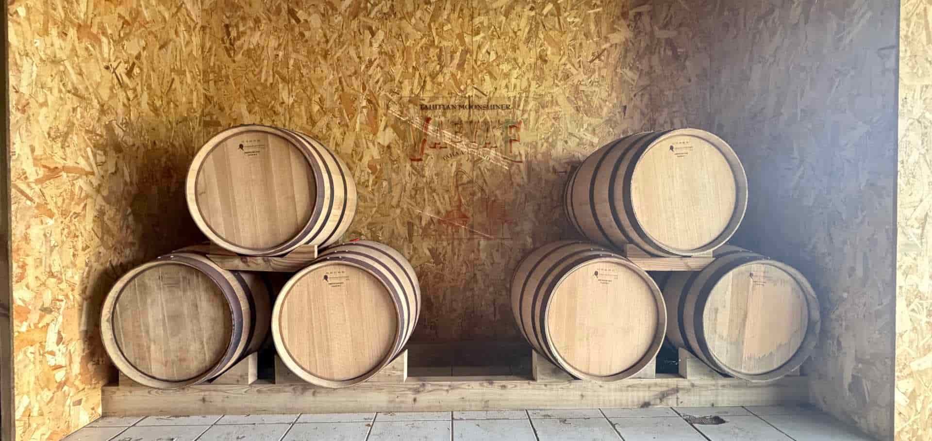 Oak aging barrels resting neatly inside the wooden maturation cellar of the distillery.