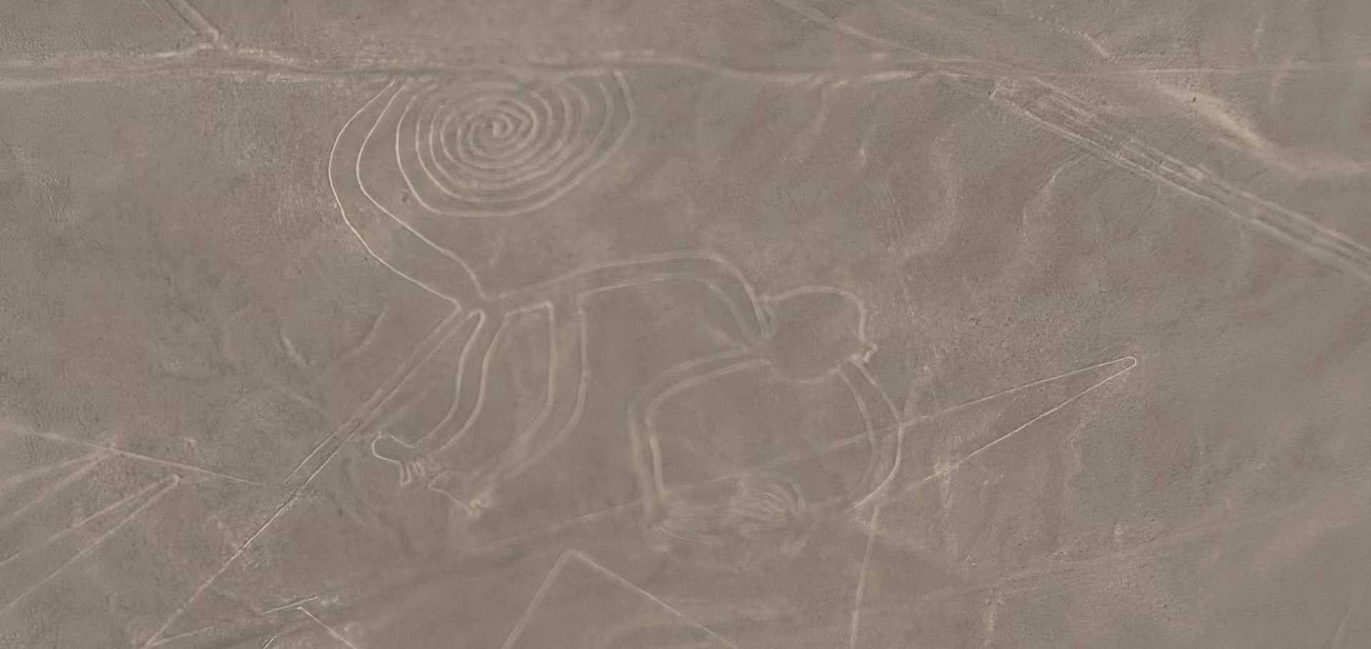 Aerial shot of the intricate monkey geoglyph and spiral tail carved into the desert floor