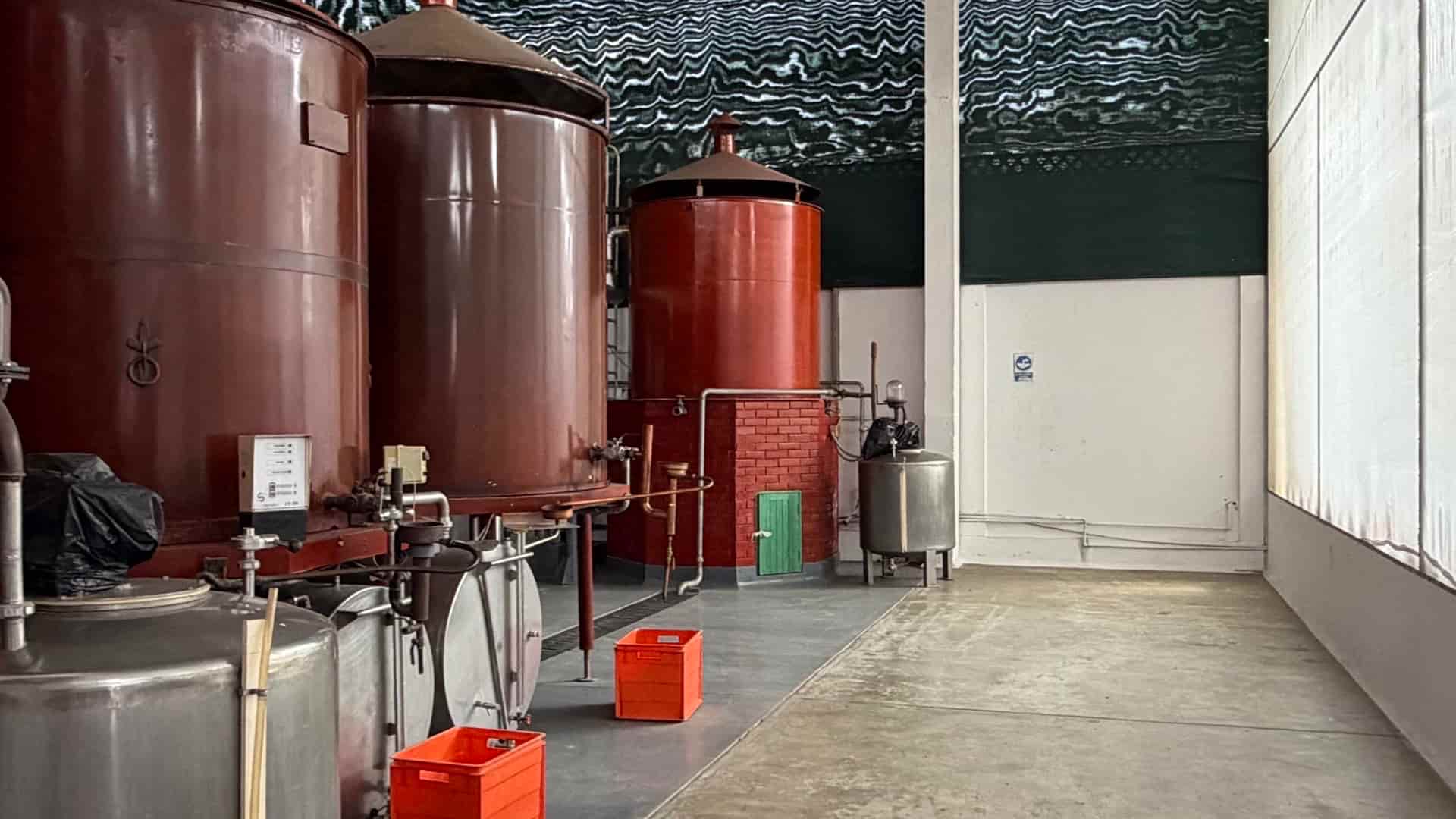 Industrial stainless steel fermentation tanks and equipment inside the modern Tacama facility.
