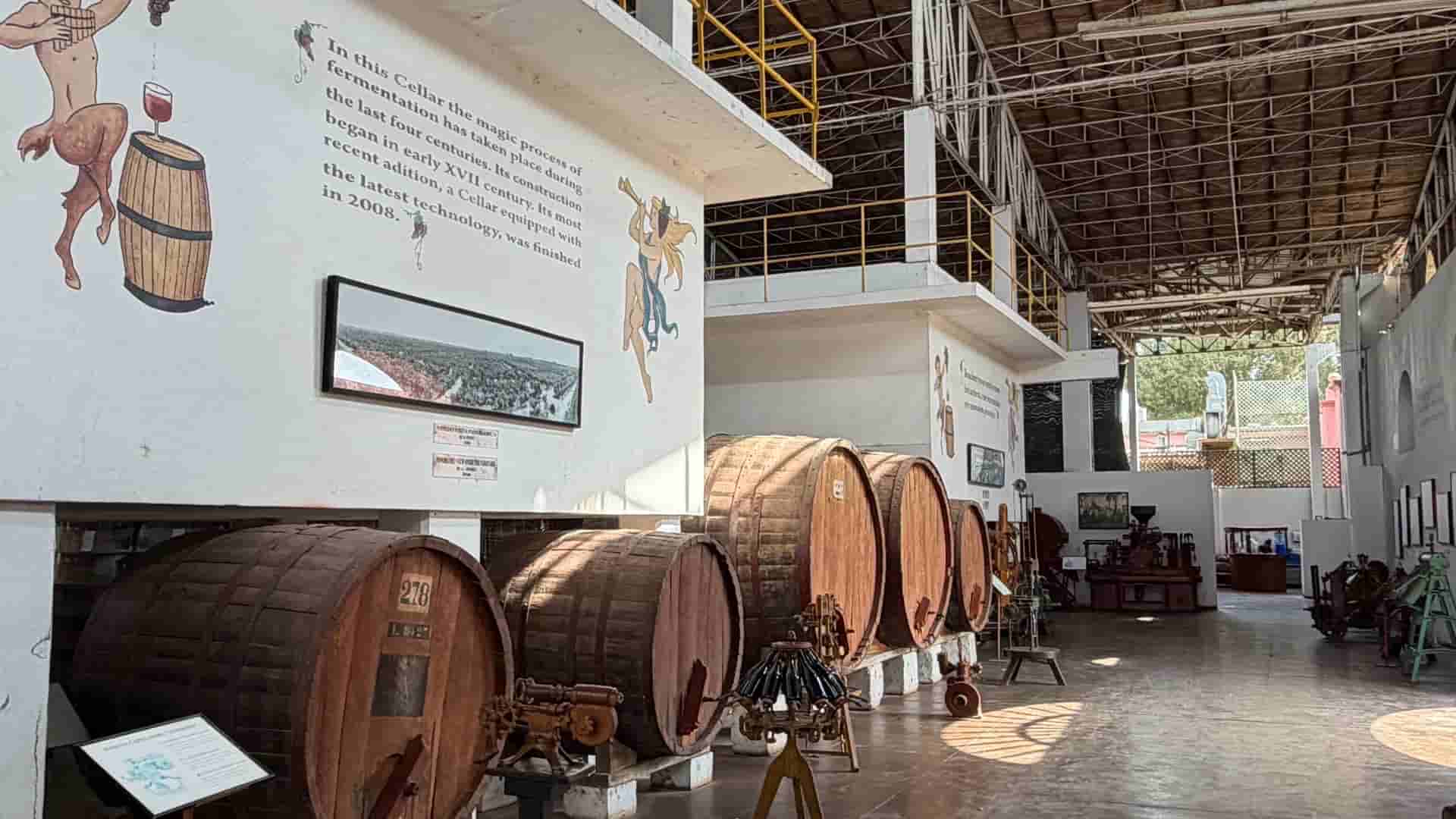 Interior view of the historic fermentation cellar featuring large wooden barrels and painted walls.