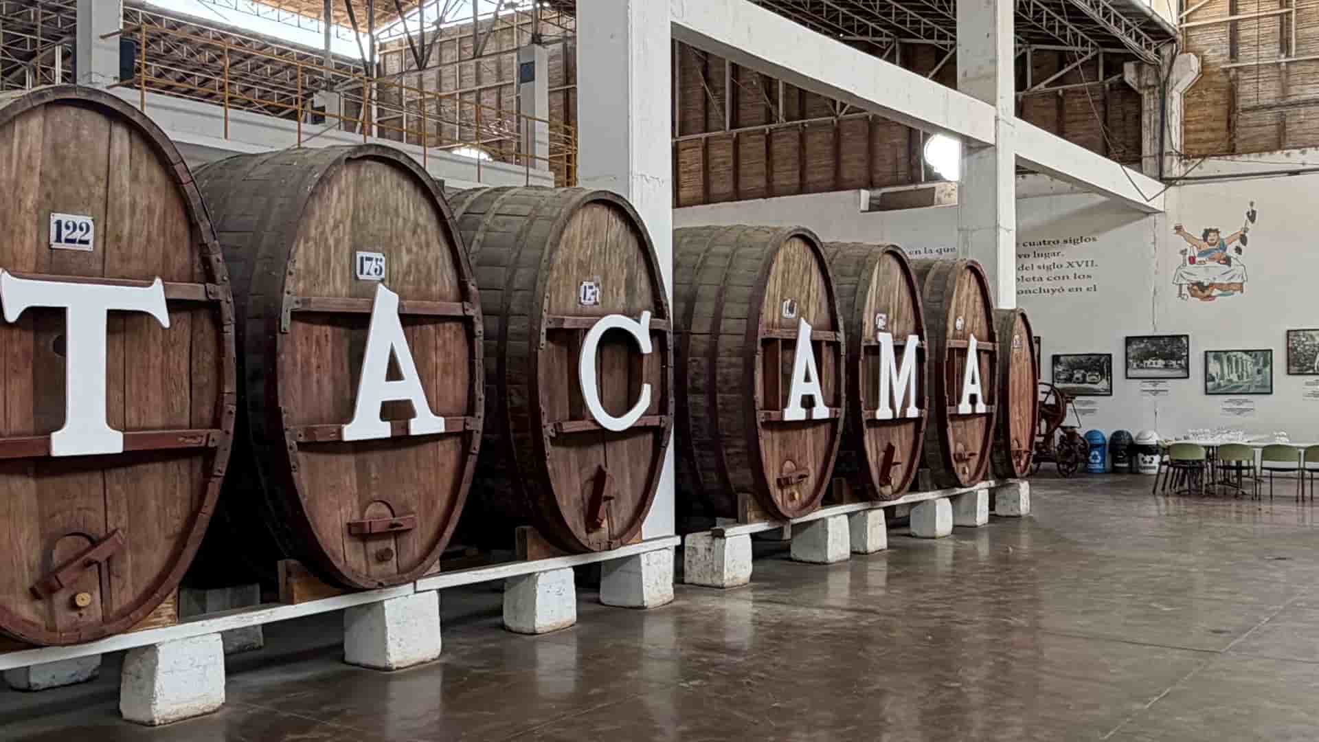 Large vintage wooden wine barrels with white lettering inside the historic Tacama cellar.