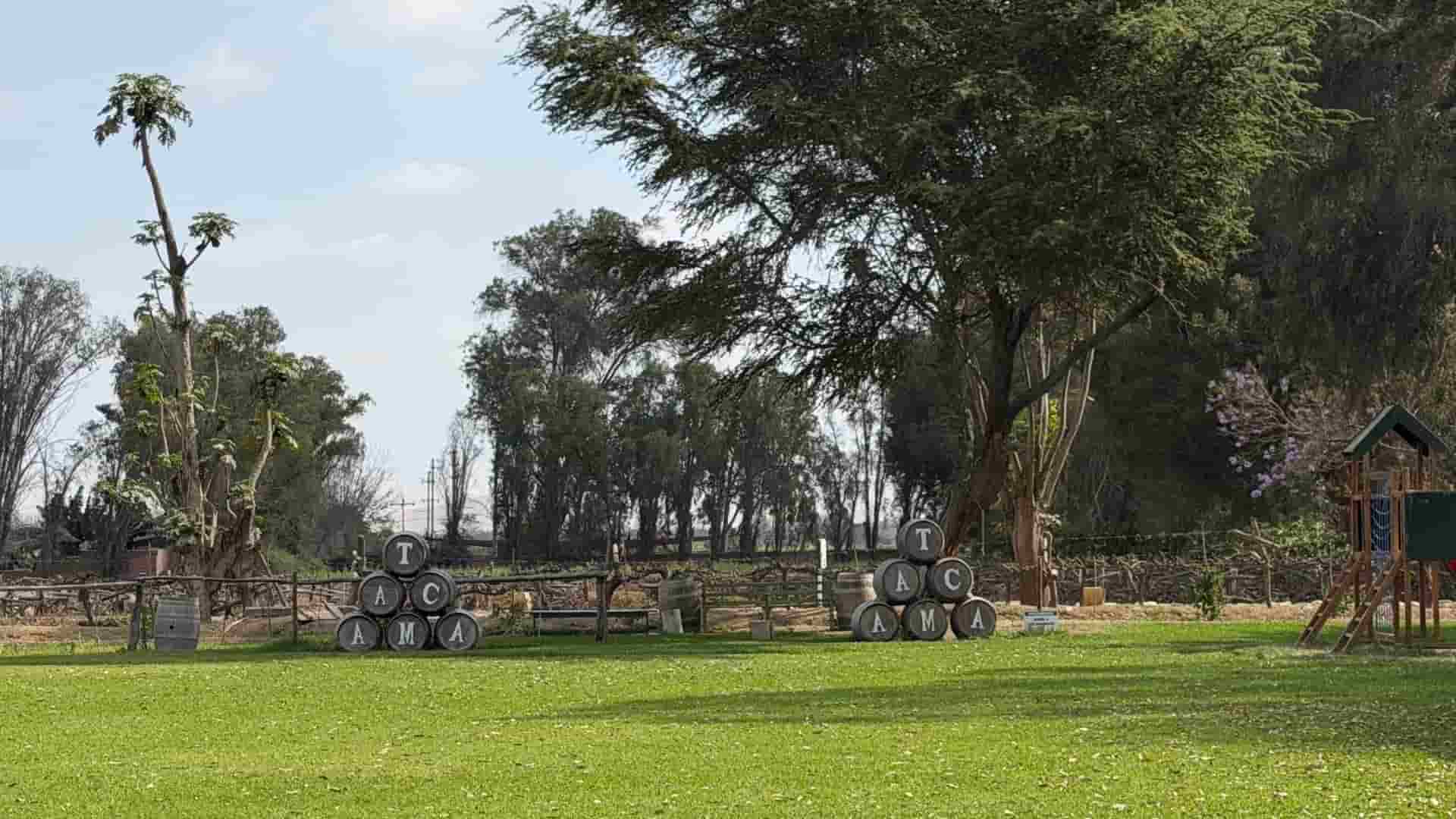 Lush green lawns and mature trees in front of the vineyard and children's play area at Tacama.