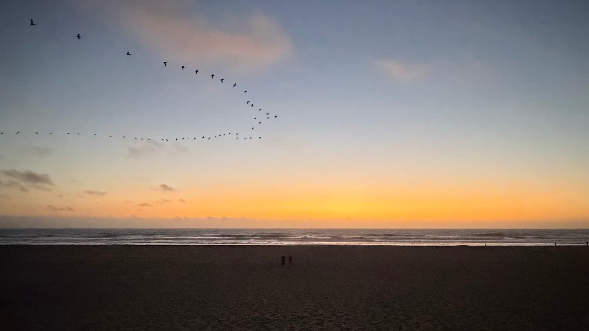 V-shaped flock of birds flying across a tranquil sunset sky above the ocean.