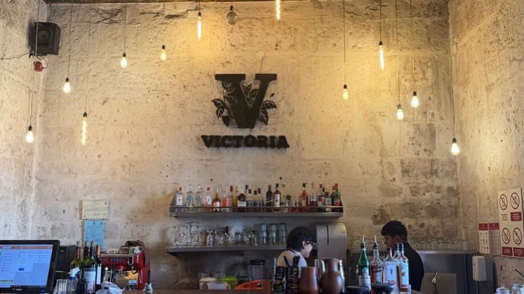 Warm interior bar counter featuring hanging pendant lights and a distinctive V logo wall sign.
